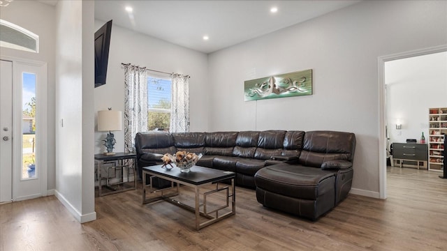 living room with hardwood / wood-style flooring