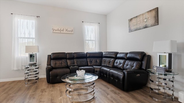 living room featuring hardwood / wood-style floors and plenty of natural light