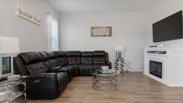 living room with light hardwood / wood-style flooring