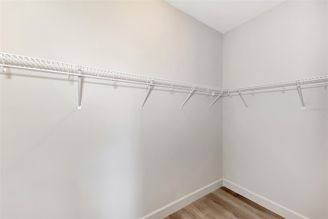 spacious closet featuring hardwood / wood-style floors