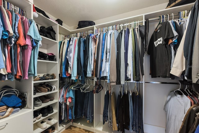 view of walk in closet