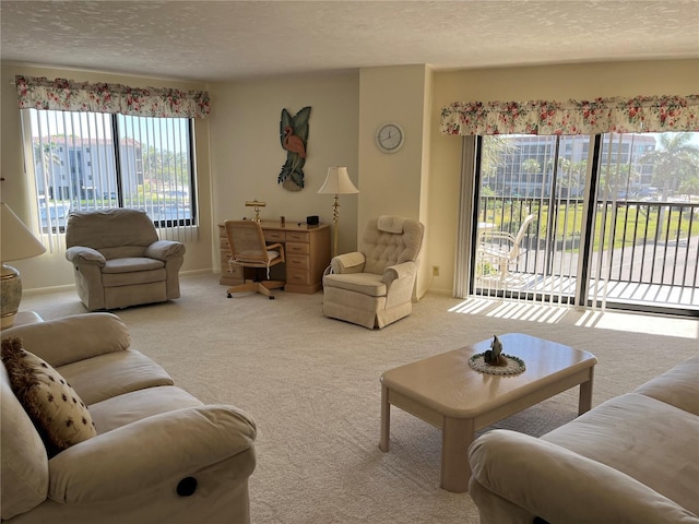 living area with carpet and a textured ceiling