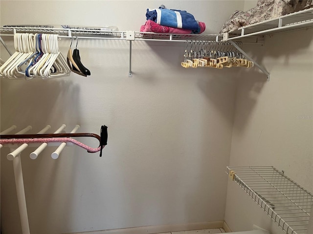 view of walk in closet