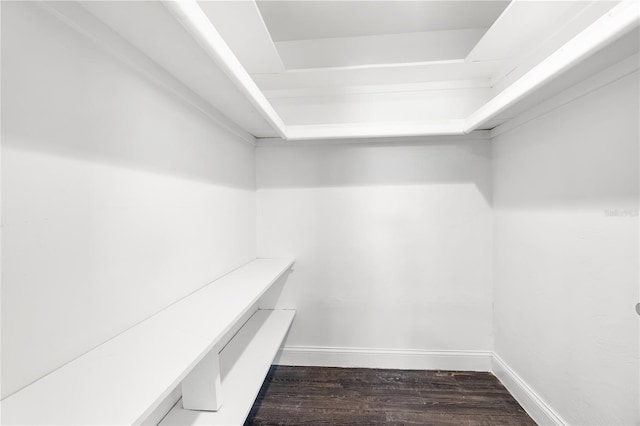 spacious closet with dark wood finished floors