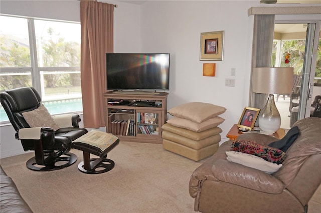 living room featuring carpet