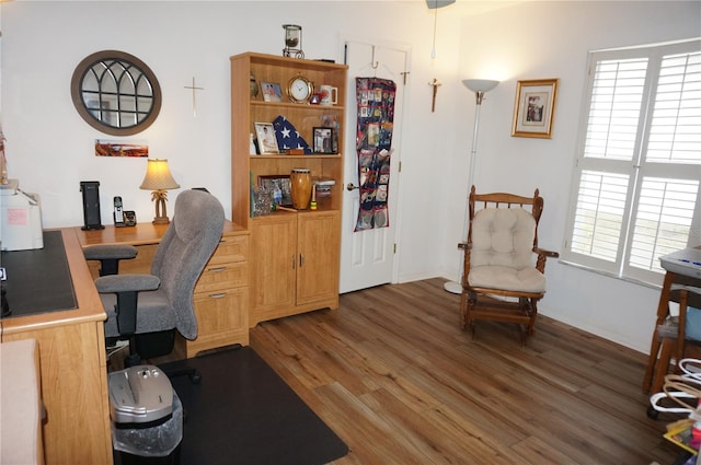 office space featuring a wealth of natural light and dark hardwood / wood-style flooring