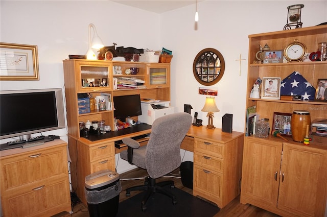 office area featuring wood-type flooring