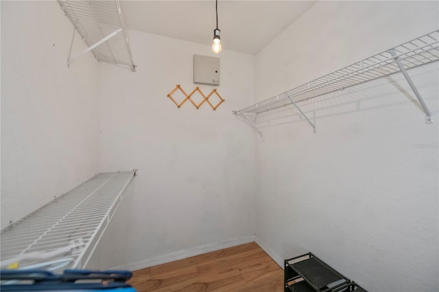 walk in closet featuring hardwood / wood-style floors