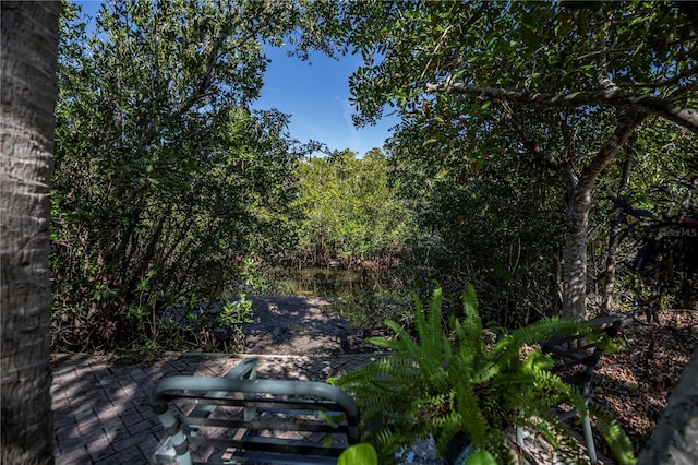 view of local wilderness