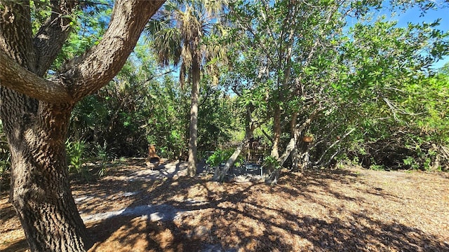 view of local wilderness