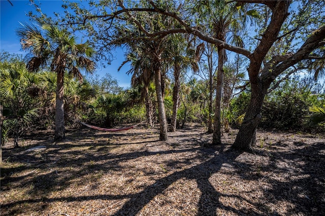 24362 Yacht Club Blvd, Punta Gorda, FL 33955 - photo 58