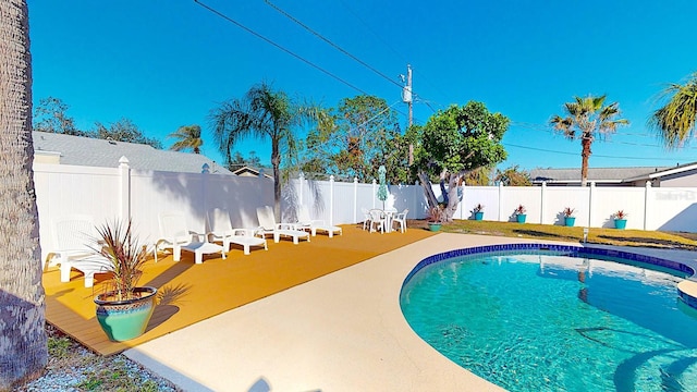 view of pool with a patio