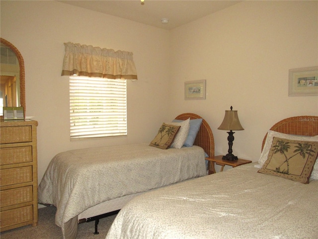 bedroom with carpet floors