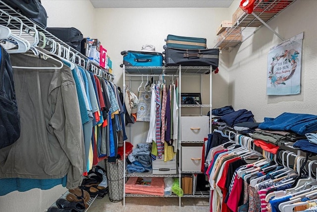 view of spacious closet