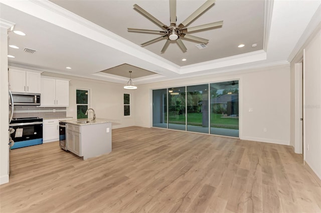 kitchen featuring white cabinetry, sink, a tray ceiling, and stainless steel appliances