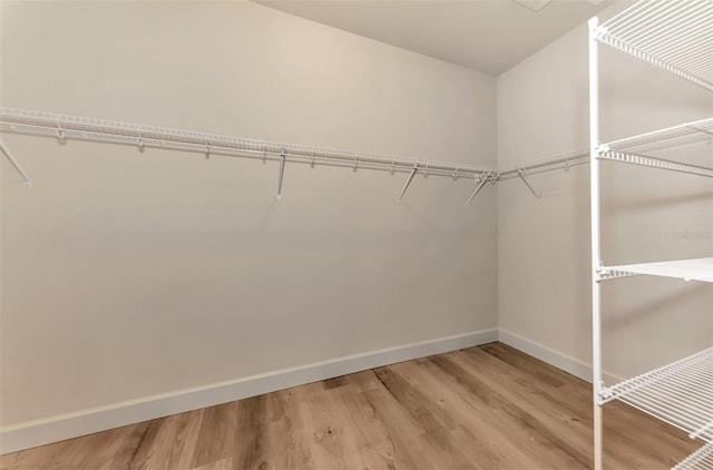 spacious closet featuring hardwood / wood-style flooring