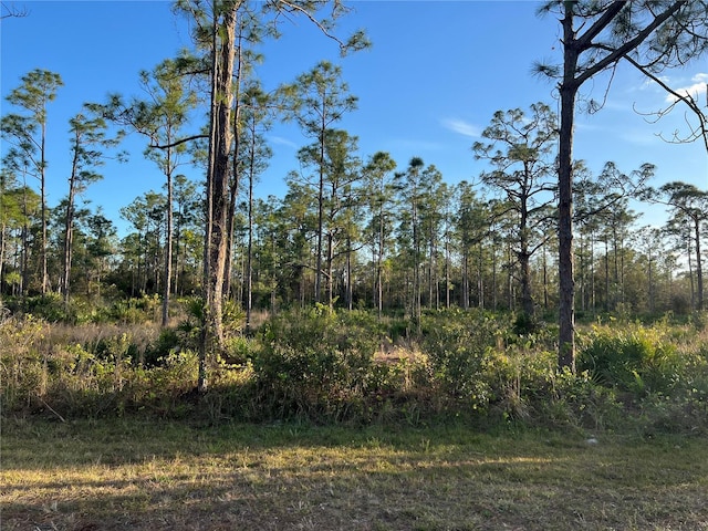 28037 Argyle Dr, Punta Gorda FL, 33955 land for sale