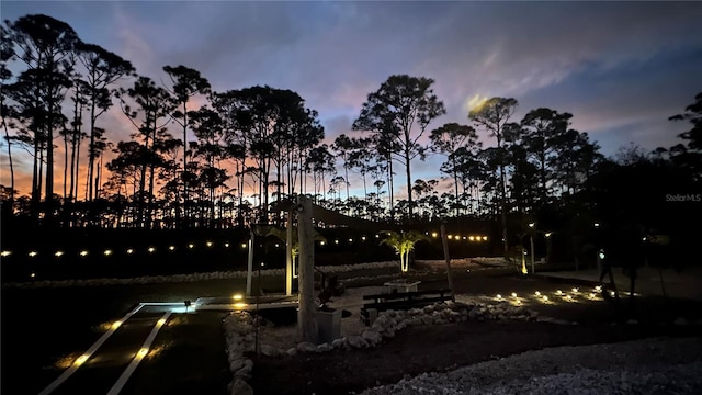 view of yard at dusk