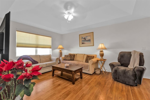 living room featuring a tray ceiling and light hardwood / wood-style floors