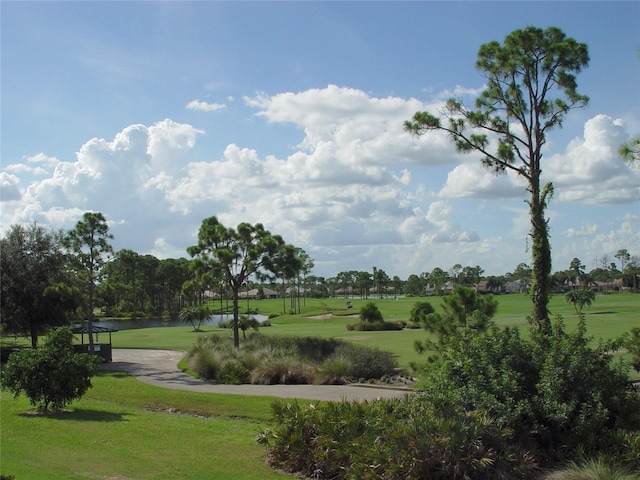 view of community featuring a water view and a lawn