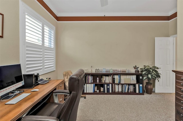 carpeted home office with crown molding