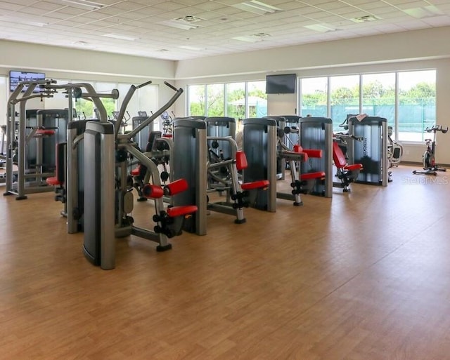 exercise room with hardwood / wood-style floors and a drop ceiling