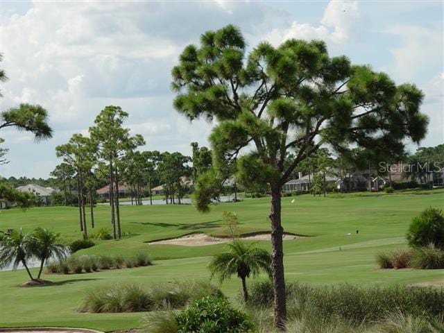 view of community with a yard