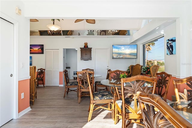 dining space with ceiling fan and light hardwood / wood-style floors