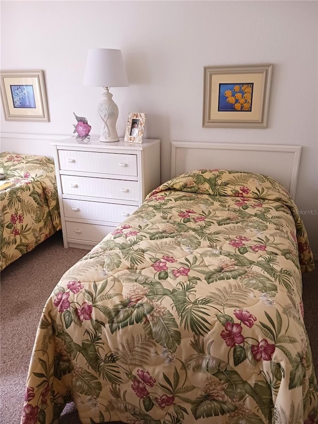 bedroom with carpet floors