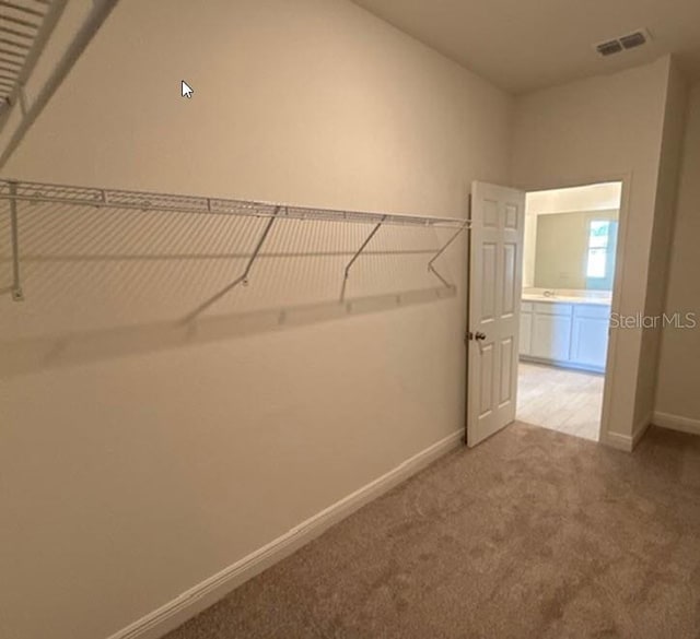 spacious closet featuring carpet and visible vents