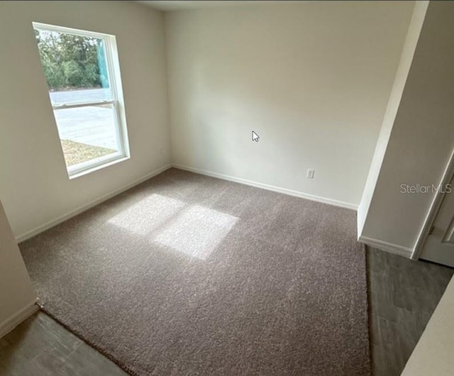 spare room with carpet