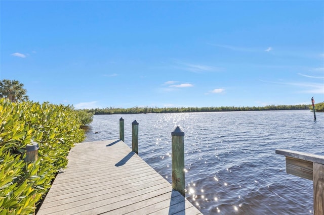 view of dock featuring a water view