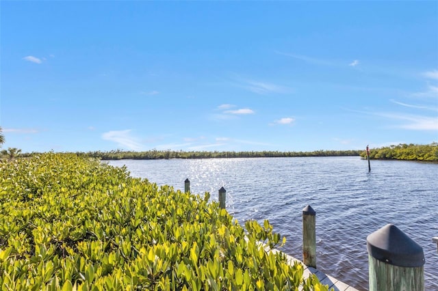 view of water feature with a boat dock