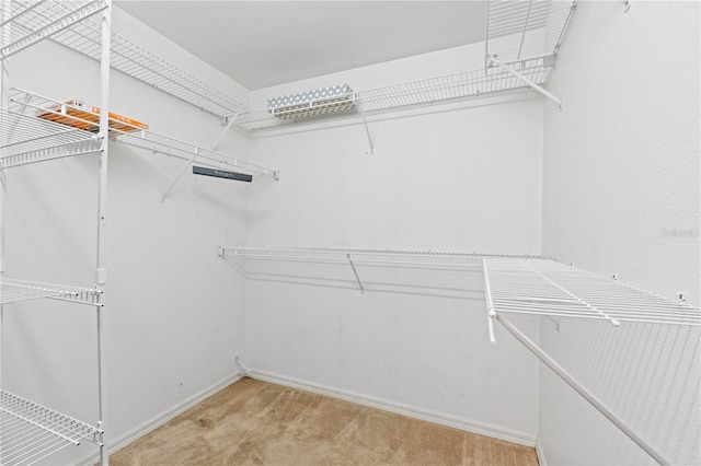 spacious closet with light colored carpet