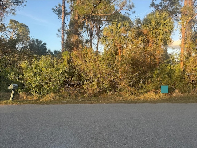 2214 Pratt Ave, North Port, FL 34286 - photo 2