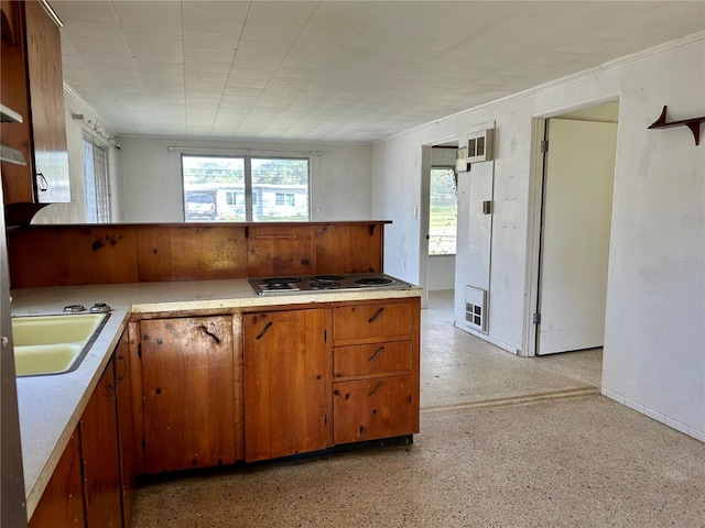 kitchen with cooktop and sink