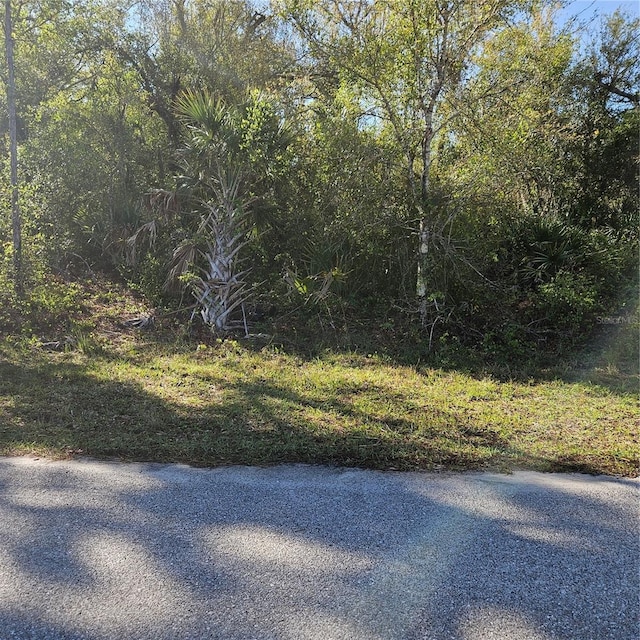 Listing photo 3 for Jaffe Ln, North Port FL 34288