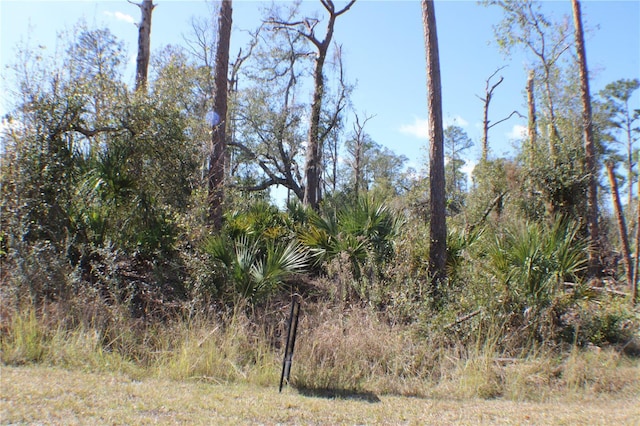 137 Brig Cir E, Placida FL, 33946 land for sale