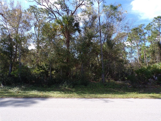 11467 1st Ave, Punta Gorda FL, 33955 land for sale