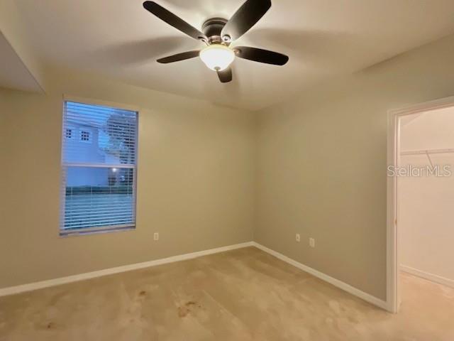 unfurnished bedroom featuring a walk in closet, a closet, ceiling fan, and carpet