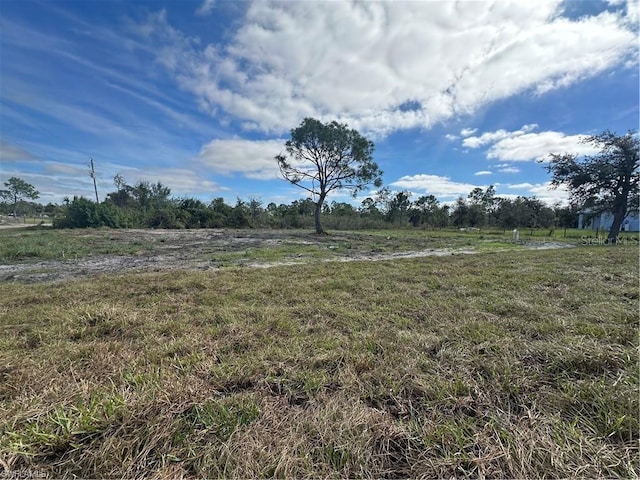 view of yard featuring a rural view