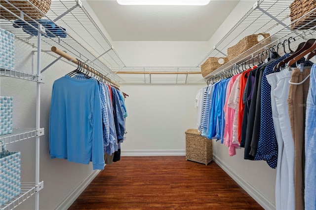 spacious closet featuring hardwood / wood-style floors