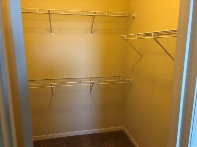 view of walk in closet