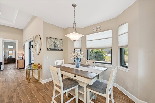 dining space with hardwood / wood-style floors