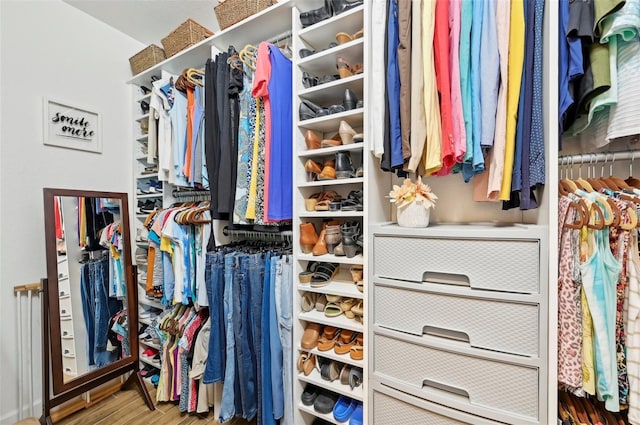 spacious closet with wood-type flooring