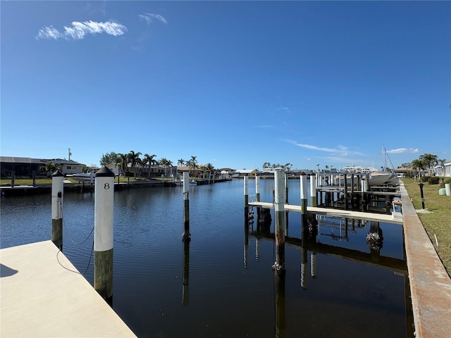 dock area featuring a water view