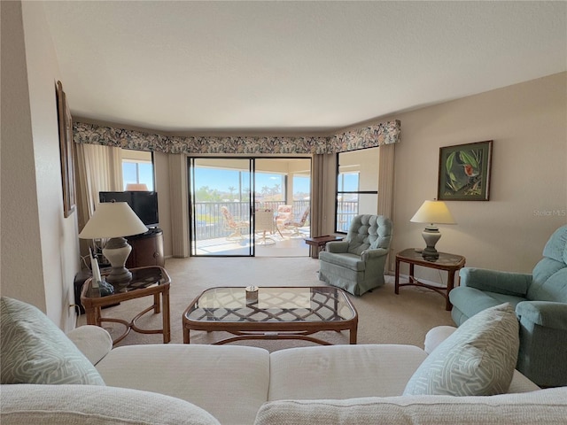 living room with carpet flooring