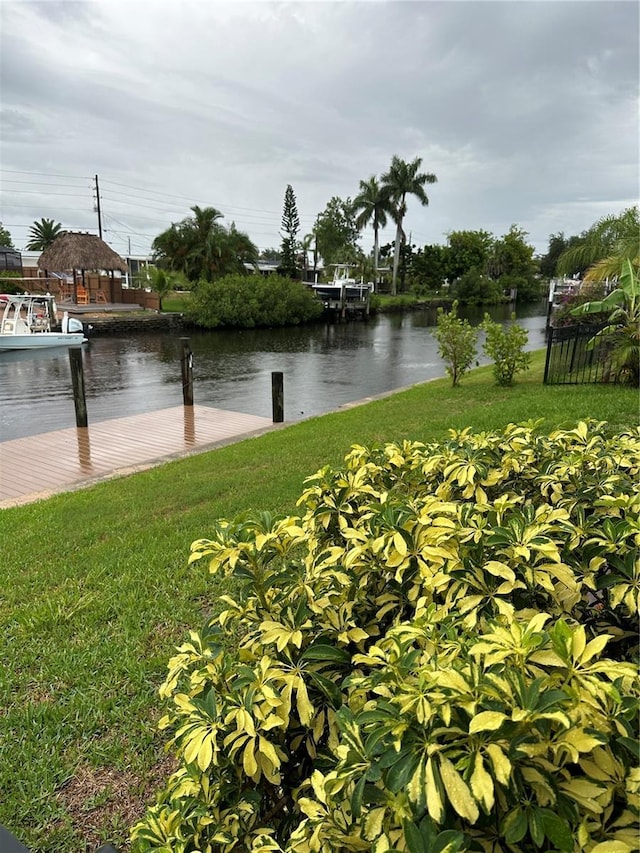 water view featuring a boat dock