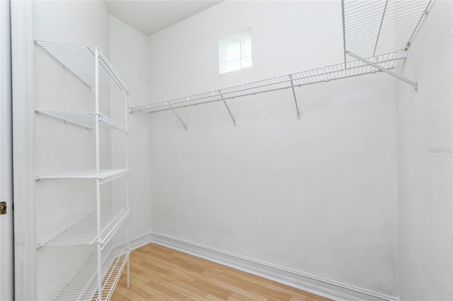 spacious closet featuring wood finished floors