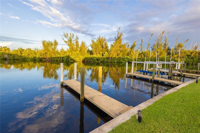 dock area with a water view